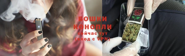 гашик Арсеньев