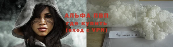 твердый Аркадак
