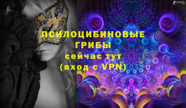 твердый Аркадак