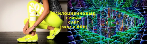 твердый Аркадак