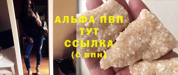 гашик Арсеньев