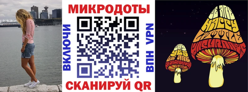 Псилоцибиновые грибы Psilocybe  Медынь 